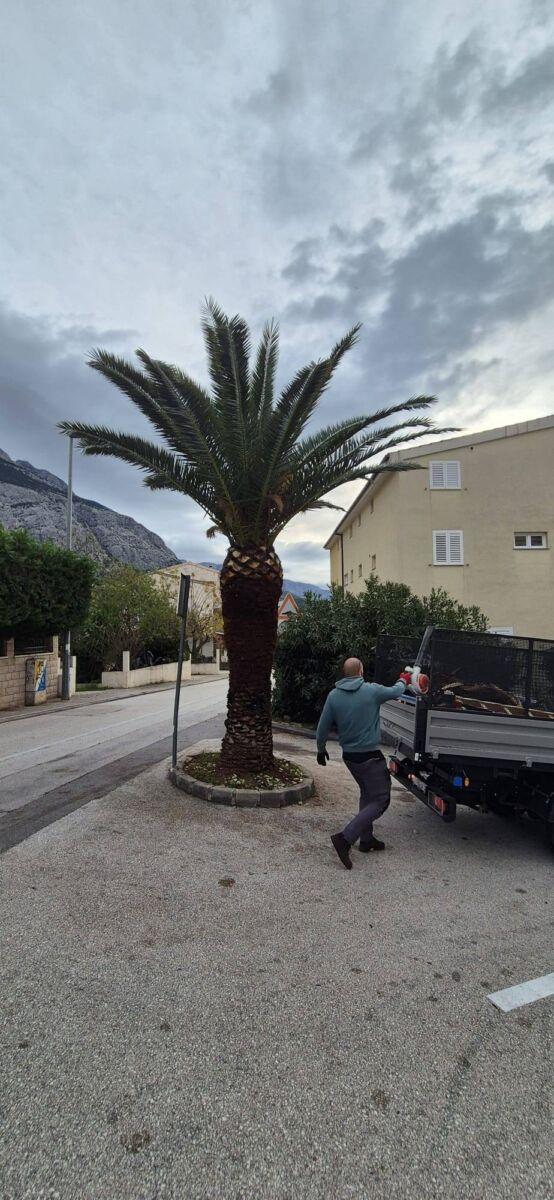 Makarski komunalac uoči Adventa radi punom brzinom