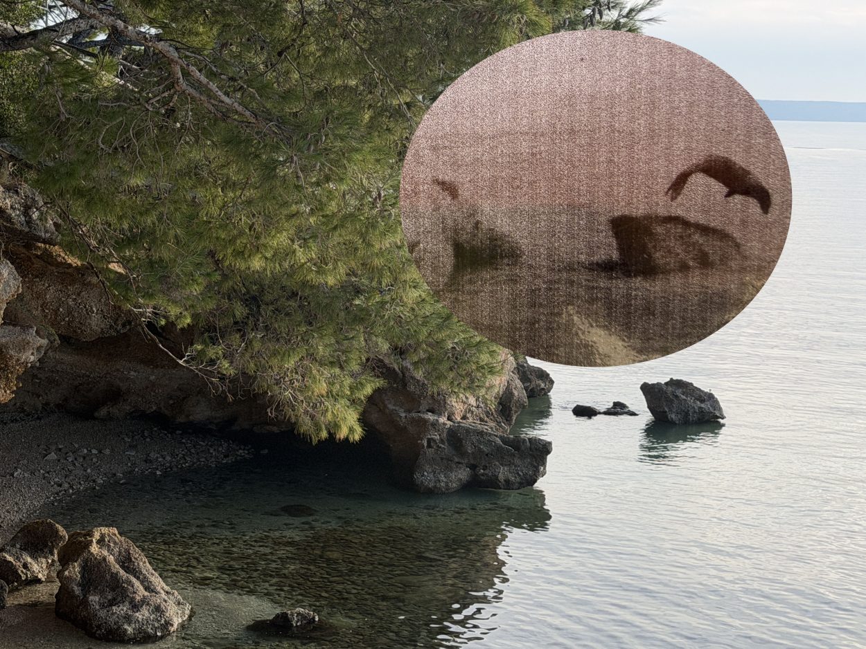 Špilja Medvidina u Brelima, skrivena priča Makarske rivijere