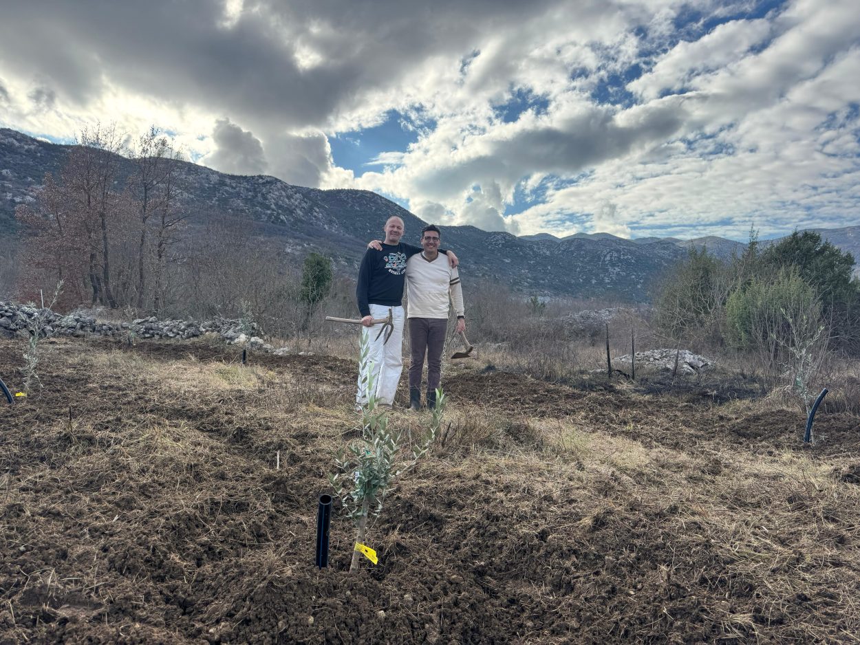 Iz gušta, ne iz potrebe: Makaranin Daniel Jović posadio masline iza Biokova