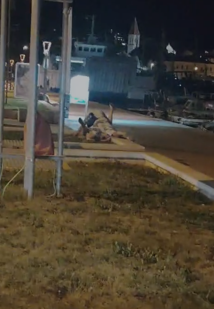Par se tijekom noći prepustio strastima na makarskoj rivi, prolaznici hodali pokraj njih