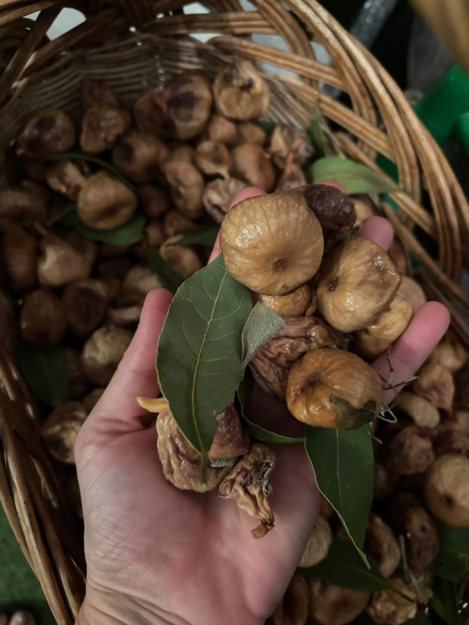 Branje i sušenje smokava podno Biokova