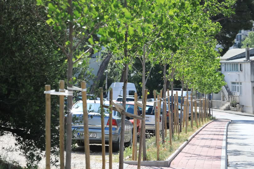 Gdje Makarskoj nedostaje zelenila i hlada? Grad traži prijedloge građana